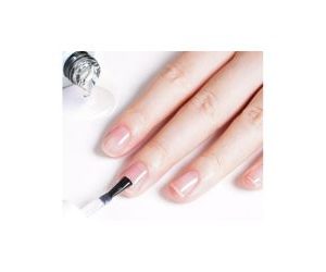 Base Coat